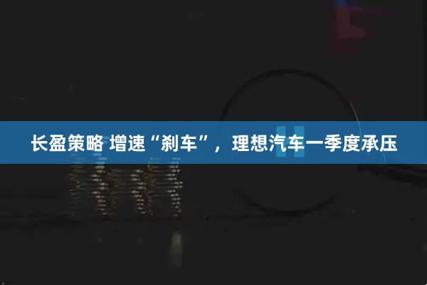 长盈策略 增速“刹车”，理想汽车一季度承压