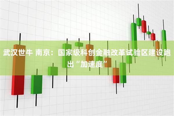 武汉世牛 南京：国家级科创金融改革试验区建设跑出“加速度”