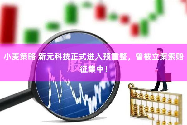 小麦策略 新元科技正式进入预重整，曾被立案索赔征集中！
