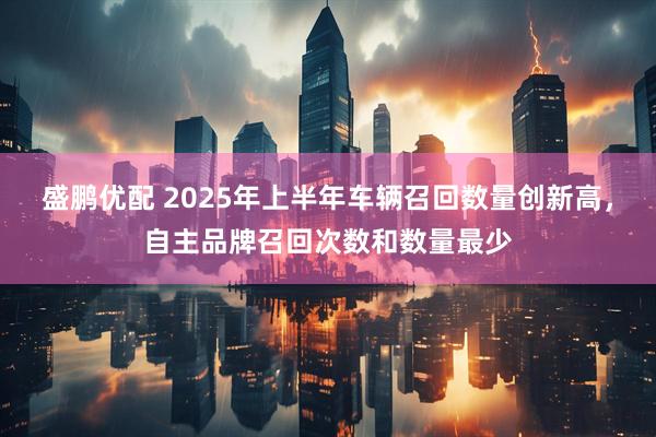 盛鹏优配 2025年上半年车辆召回数量创新高，自主品牌召回次数和数量最少
