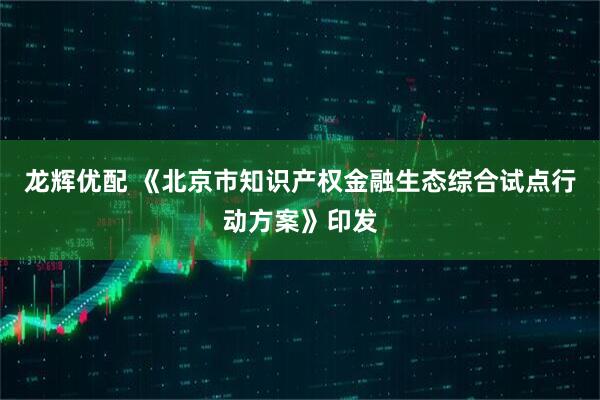 龙辉优配 《北京市知识产权金融生态综合试点行动方案》印发