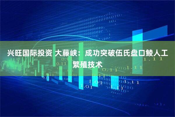 兴旺国际投资 大藤峡：成功突破伍氏盘口鲮人工繁殖技术